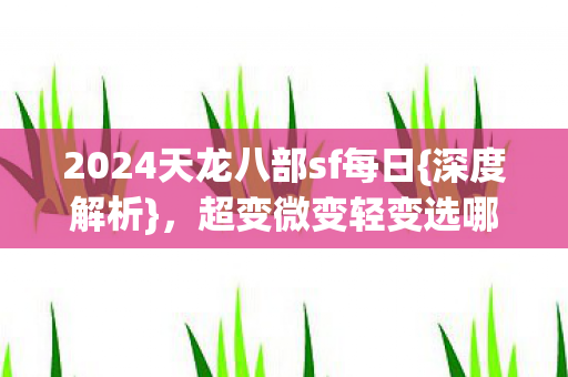 2024天龙八部sf每日图片