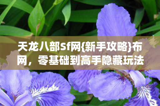 零基础到高手隐藏玩法图片