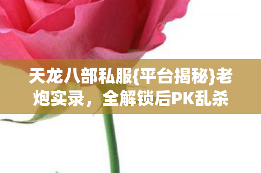 全解锁后PK乱杀日常图片