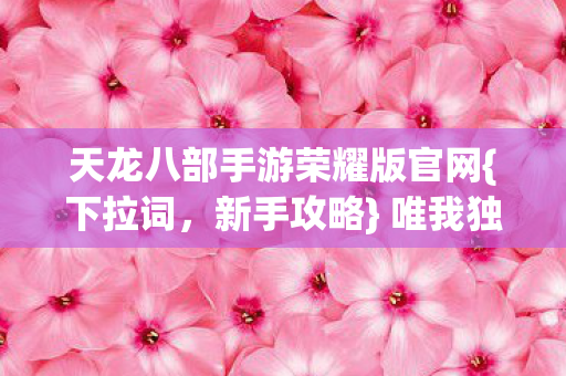 天龙八部手游荣耀版官网图片