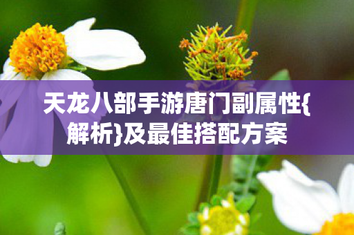 天龙八部手游唐门副属性图片