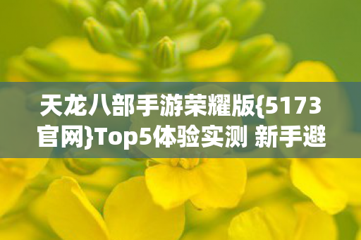 Top5体验实测 新手避雷指南图片