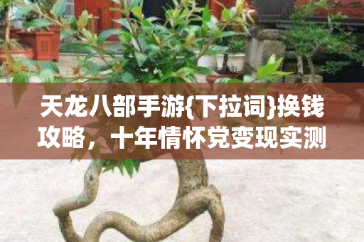 十年情怀党变现实测认证图片