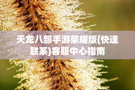天龙八部手游荣耀版图片