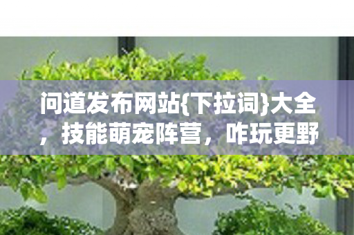 问道发布网站图片