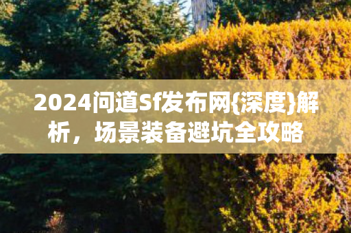 2024问道Sf发布网图片
