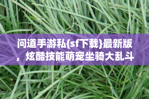 炫酷技能萌宠坐骑大乱斗图片