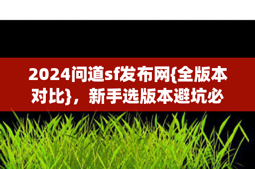 2024问道sf发布网图片