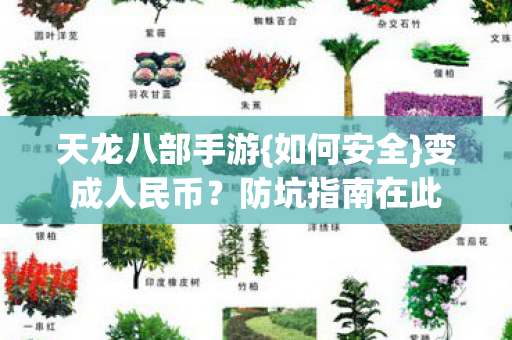 天龙八部手游图片