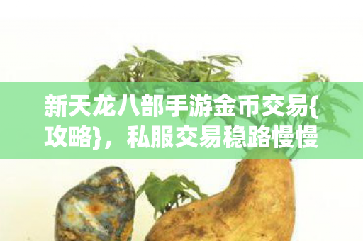 新天龙八部手游金币交易图片