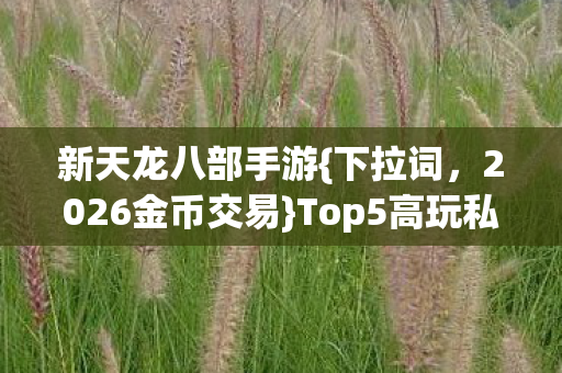 Top5高玩私藏款体验指南图片