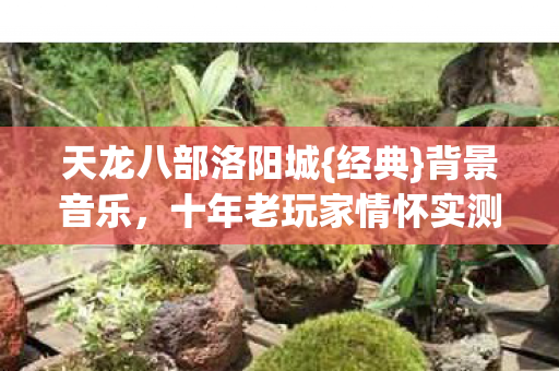 十年老玩家情怀实测认证图片