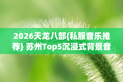 苏州Top5沉浸式背景音乐避雷图片