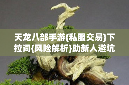 天龙八部手游图片