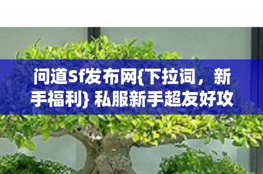 私服新手超友好攻略图片