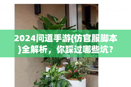 2024问道手游图片