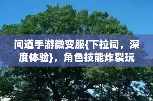 角色技能炸裂玩法变天揭秘图片