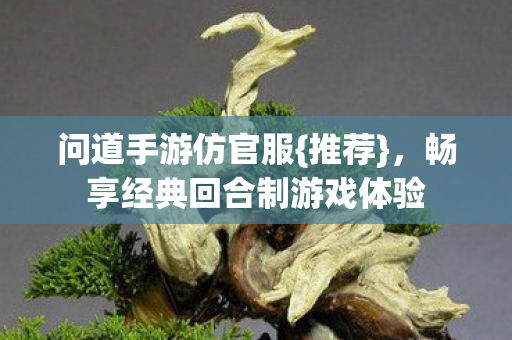 问道手游仿官服{推荐}，畅享经典回合制游戏体验