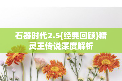 精灵王传说深度解析图片