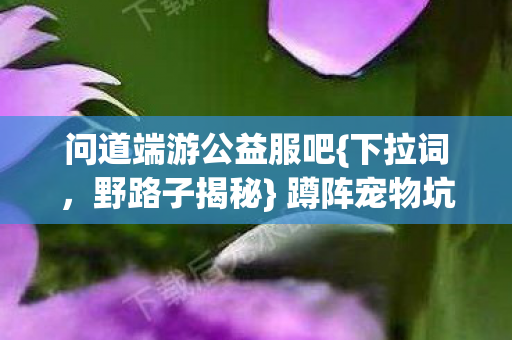 蹲阵宠物坑退游经历图片