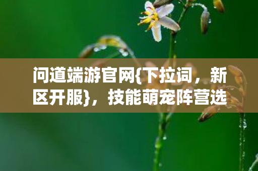 技能萌宠阵营选法不踩雷图片