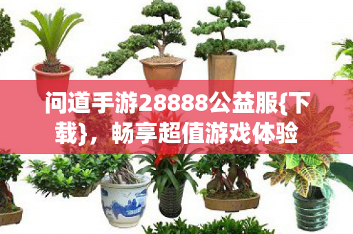 问道手游28888公益服图片