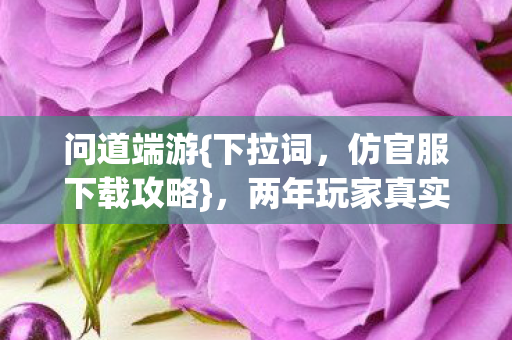 两年玩家真实经历分享图片