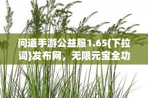 无限元宝全功能解锁图片