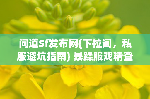 暴躁服戏精登录踩坑实录图片