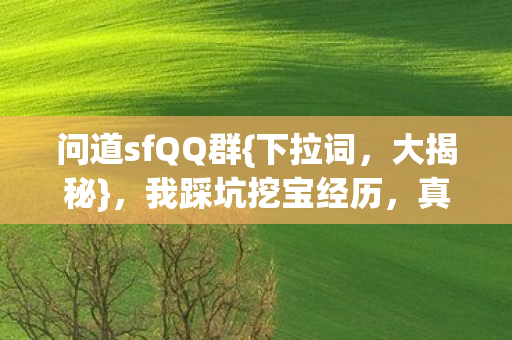 问道sfQQ群图片