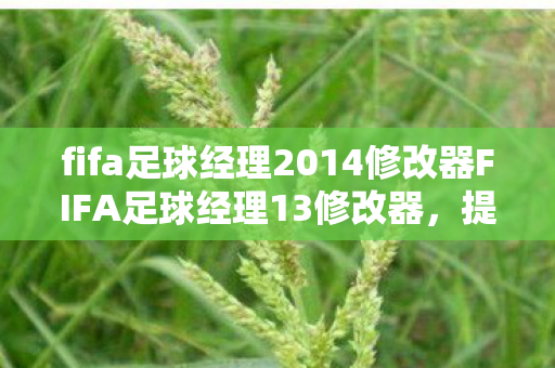 fifa足球经理2014修改器FIFA足球经理13修改器，提升游戏体验的神奇工具，神奇工具，FIFA足球经理2014/13修改器，提升游戏体验！