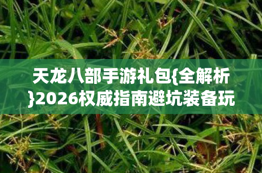 2026权威指南避坑装备玩法图片