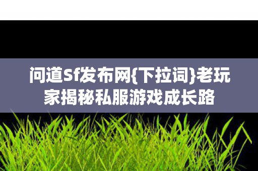 老玩家揭秘私服游戏成长路图片