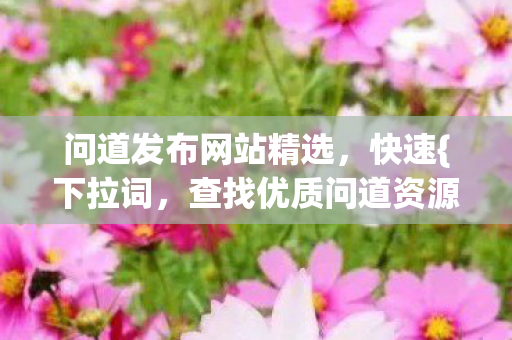问道发布网站精选图片