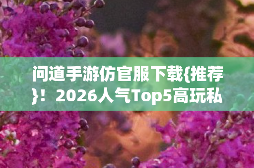 2026人气Top5高玩私藏体验图片