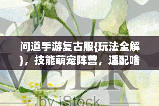 问道手游复古服{玩法全解},技能萌宠阵营,适配啥人格? 问道手游复古服{玩法全解},技能萌宠阵营,适配啥人格?