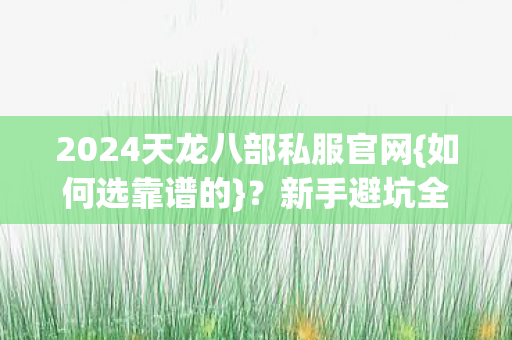 2024天龙八部私服官网图片