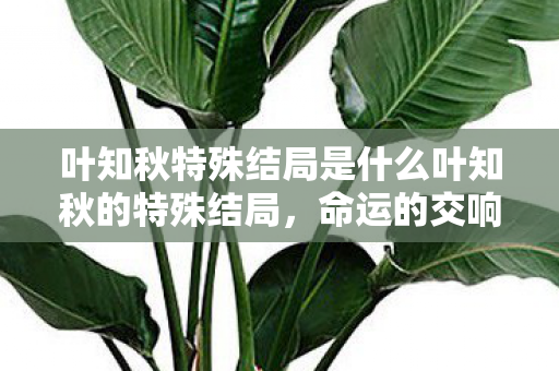 叶知秋特殊结局是什么叶知秋的特殊结局，命运的交响曲，叶知秋，命运的交响曲，揭秘其特殊结局