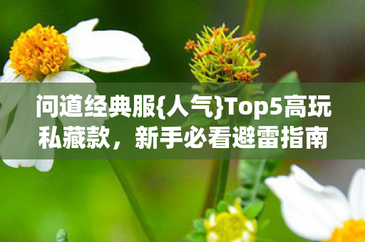 Top5高玩私藏款图片