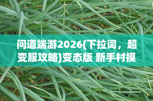 变态版 新手村摸鱼爆神装揭秘图片