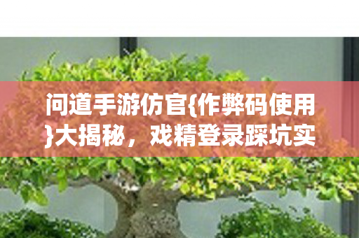 戏精登录踩坑实录图片