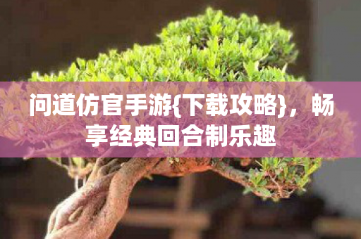 畅享经典回合制乐趣图片
