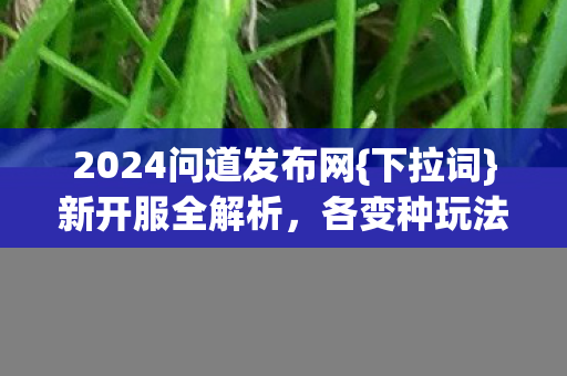 2024问道发布网图片