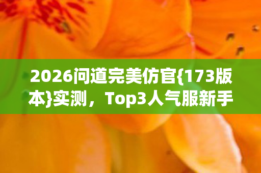 Top3人气服新手避坑指南图片