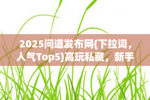 2025问道发布网图片