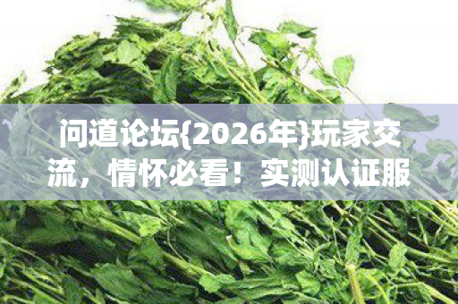 问道论坛{2026年}玩家交流，情怀必看！实测认证服避雷攻略