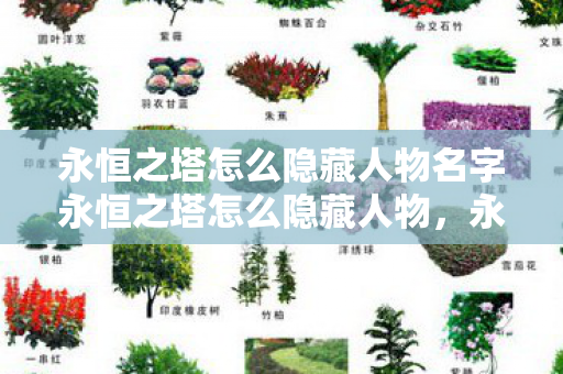 永恒之塔怎么隐藏人物名字永恒之塔怎么隐藏人物，永恒之塔隐藏人物名字方法