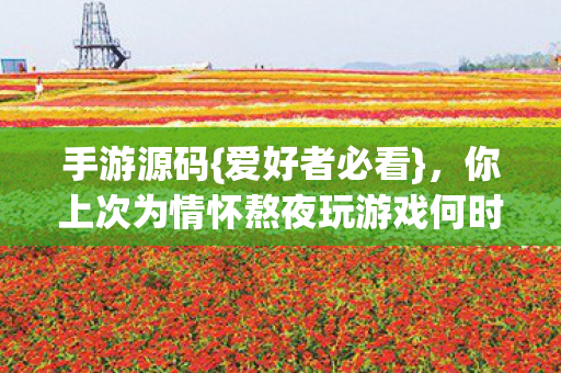 你上次为情怀熬夜玩游戏何时图片
