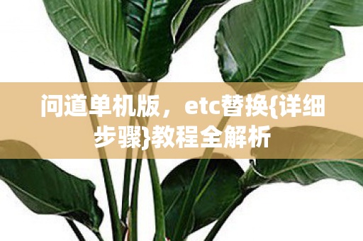 问道单机版，etc替换{详细步骤}教程全解析