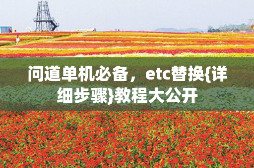 问道单机必备图片